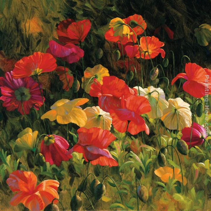 2011 Iceland Poppies